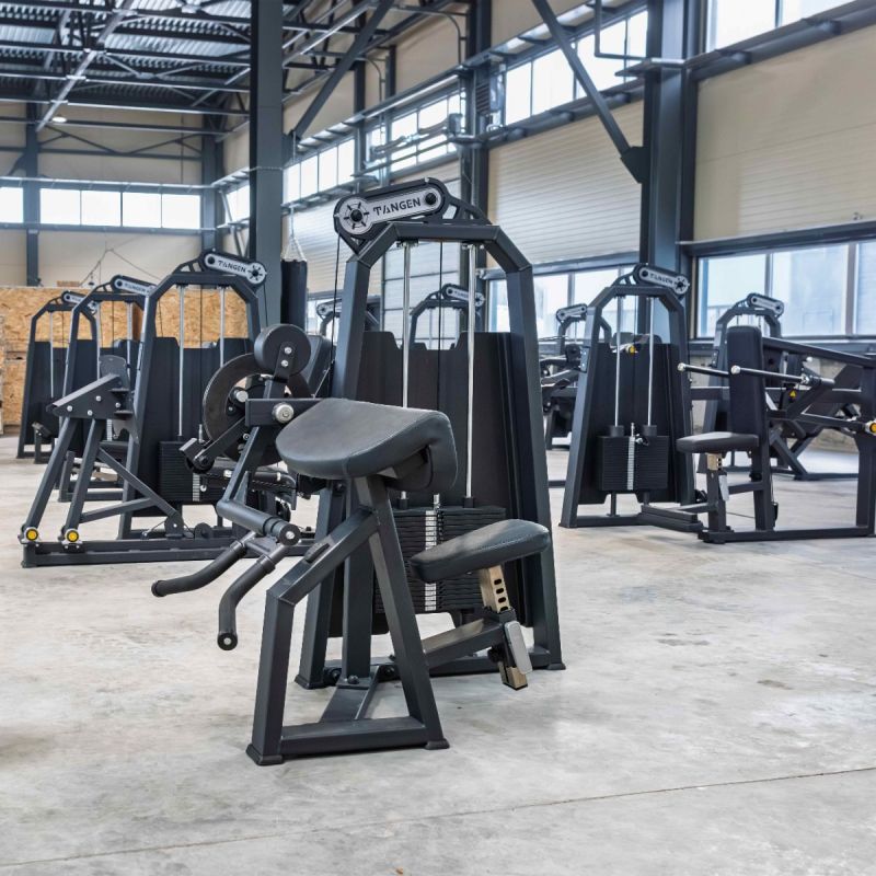 A2030 Бицепс-машина сидя. Стек 100 кг