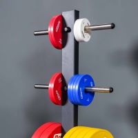 Диск профессиональный обрезиненный (цветной) D51 мм PROFI-FIT 2,5 кг