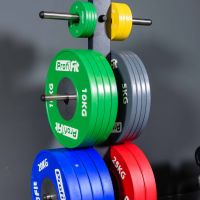 Диск профессиональный обрезиненный (цветной) D51 мм PROFI-FIT 5 кг