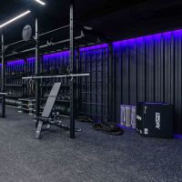 Гиря тренировочная PROFI-FIT 32 кг
