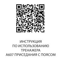 A607 Приседания с поясом