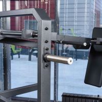 A610 Маятниковые приседания