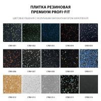 Плитка резиновая Премиум 1000x1000x15 мм PROFI-FIT