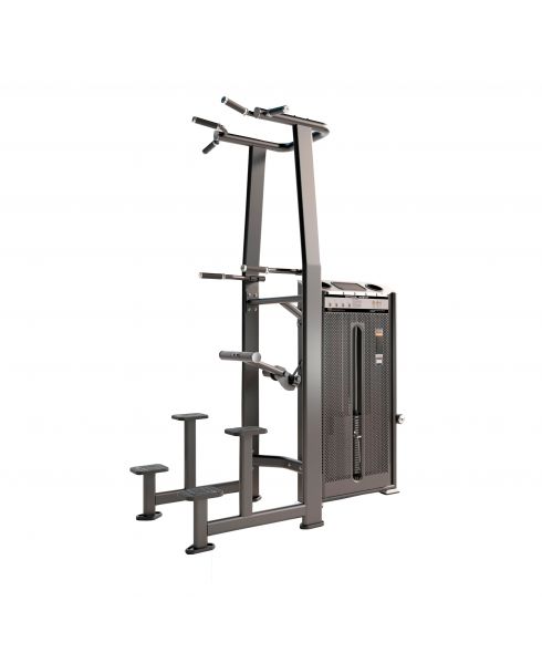 E7009A Турник, брусья с противовесом. Стек 110 кг